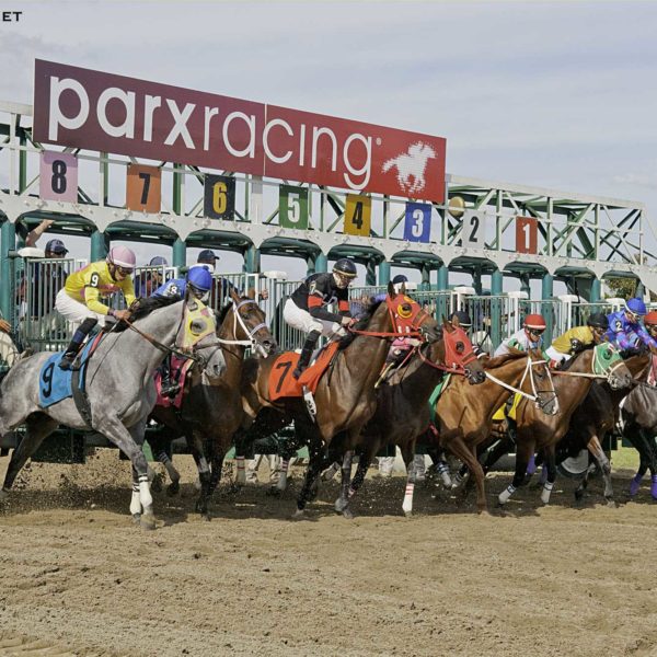 204068-Parx-Casino-And-Racing-Stables-50x258-Equestrian-Green-Bensalem-PA-UnitedStates-8