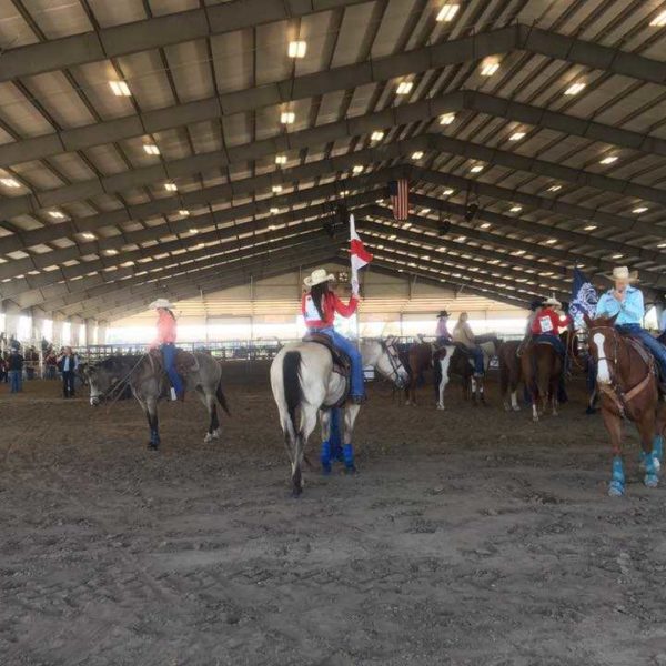 301100-Florida-Horse-Park-Covered-Riding-Arena-82x116-Equestrian-Light-Stone-Ocala-FL-UnitedStates-6