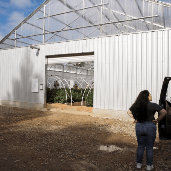 Garberville, California, Steel Building Grow House, 24x48, Agricultural