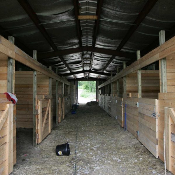 26020-Equestrian-Barn-Stables-30x80-Equestrian-Beige-Lyndhurst-ON-Canada-1